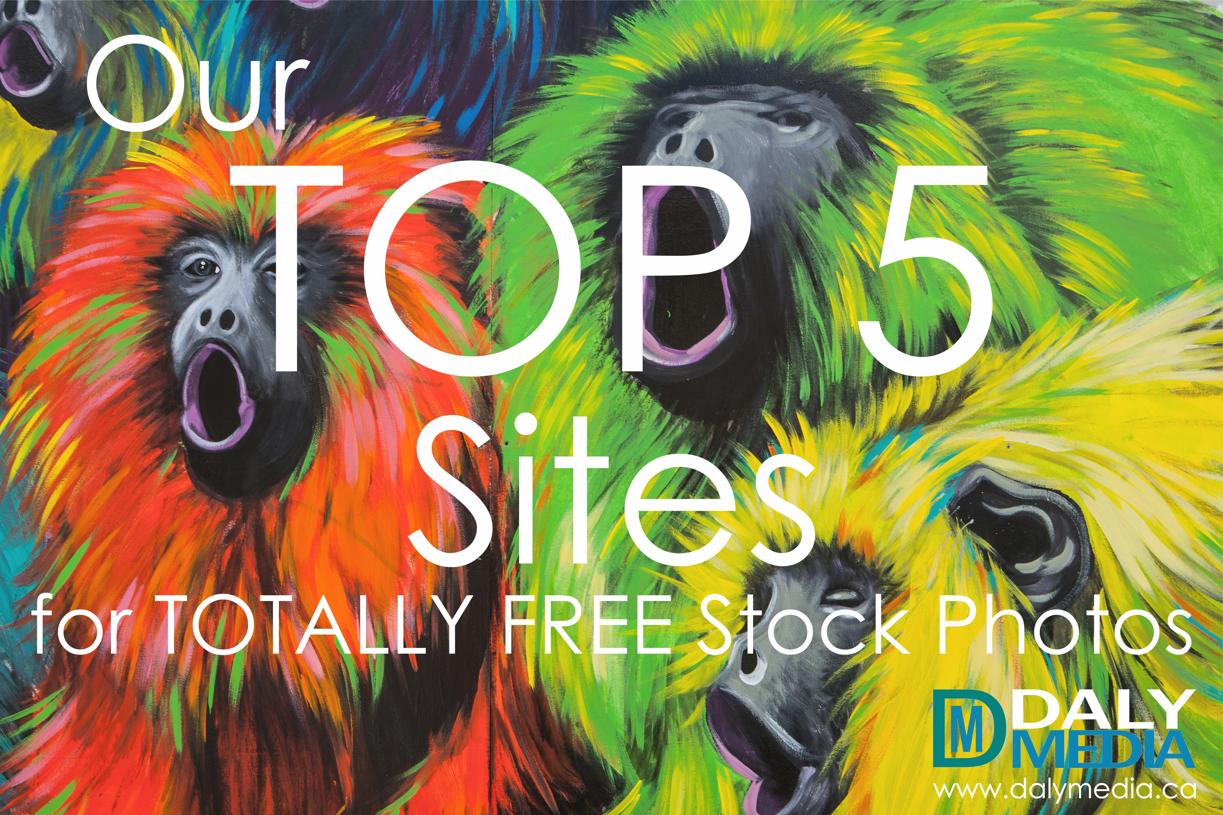 Top 5 Free Stock Photo Sites